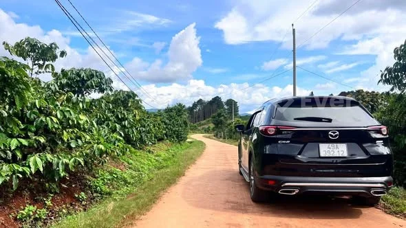 ĐẤT XÃ MÊ LINH – CÁCH TRUNG TÂM ĐÀ LẠT CHỈ 19KM