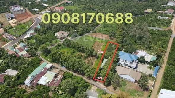 Dt: 9,1x70 nở hậu 10m , sẵn 200m thổ cư (Tổng 720m2 vừa dài vừa rộng)