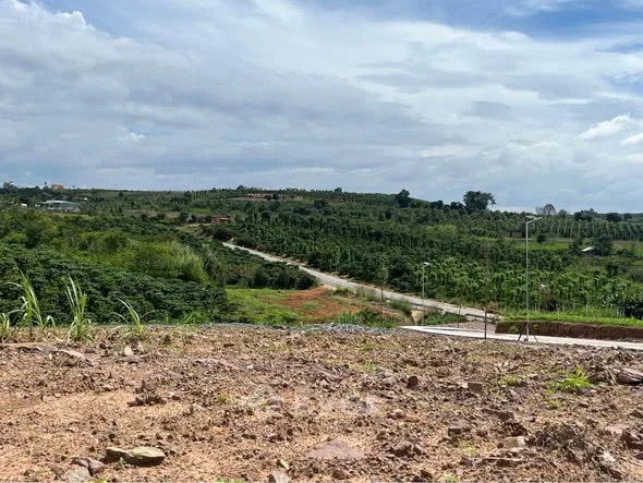 BẮT TRỌN CƠ HỘI – SỞ HỮU ĐẤT ĐẸP TÂN HÀ CHỈ 630 TRIỆU!