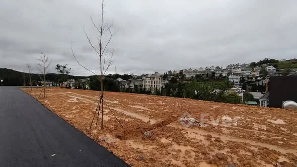 Bán đất Đống Đa, P. Xuân Hương (P.3 cũ), Đà Lạt:- Diện tích 905 m2 (có 275 m2 thổ cư)