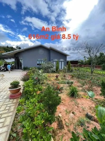 CẦN TIỀN BÁN NHÀ VƯỜN ĐƯỜNG AN BÌNH – ĐÀ LẠT GIÁ: 8.5 TỶ Diện tích: 616m² – Vuông vắn, rộng thoáng
