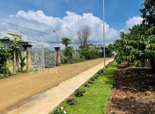 Bán Đất Đẹp Ven Đà Lạt Thế Đất Cao Đây Anh Chị ƠiVị Trí: Ngay Trung Tâm Bình Thạnh - Đức Trọng