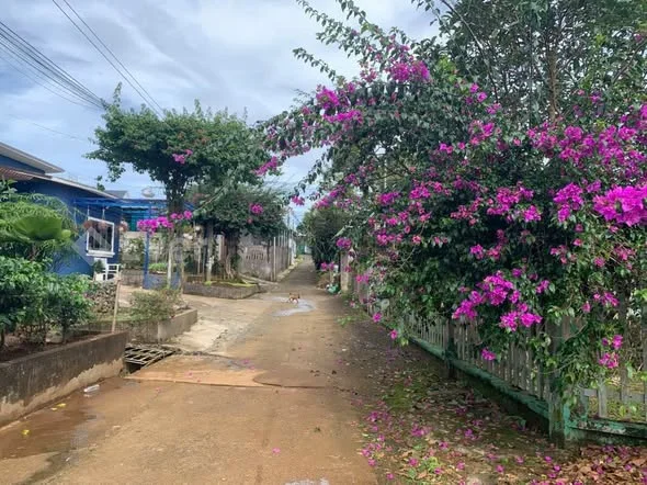 4.700m² có 400m² thổ cư hẻm Nguyễn Viết Xuân, Đambri P2 Bảo LộcCó sẵn nhà lầu