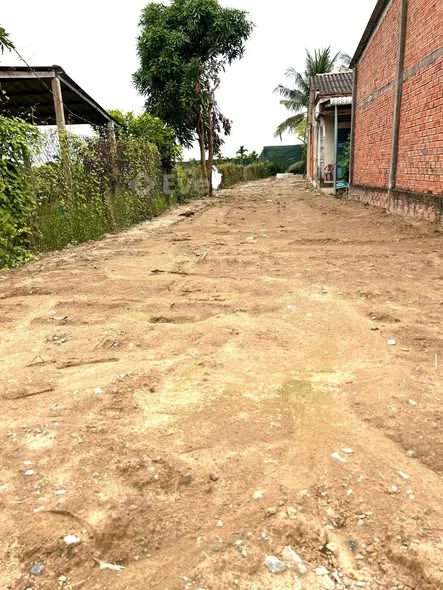 Chính Chủ Bán Đất Mặt Tiền Trần Văn Ngàn (đường ranh Tp Tân An cũ)Diện Tích: 5x50m đất thổ 100%