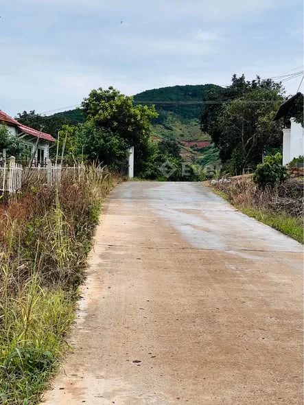 BÁN ĐẤT NAM BAN – VEN ĐÀ LẠT, GIÁ CỰC MỀM! Diện tích 7x33m (236m²), sẵn 100m² thổ cư