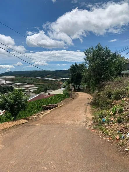 CHÍNH CHỦ GỬI BÁN NHANH LÔ ĐẤT VIEW ĐẸP 1.000m² – XUÂN THỌ, PHƯỜNG XUÂN TRƯỜNG, ĐÀ LẠT