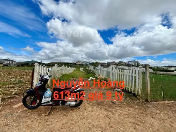 Cần bán gấp đất nền Biệt Thự đường Nguyễn Hoàng, P7, Đà Lạt 613m2 giá 9 tỷ