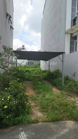 Chính chủ gửi bán gấp Lô đất đường ô tô trạng trình đà lạt+ Diện tích: 97,36 m2 - Ngang 5 m