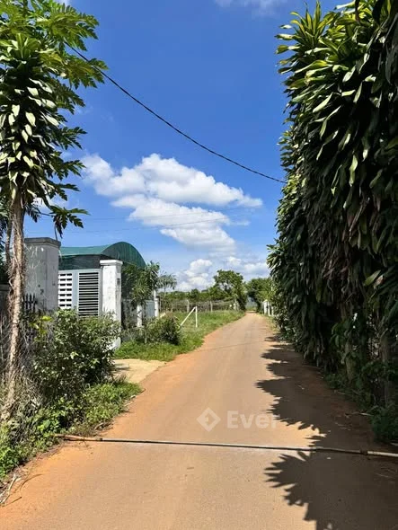 Hẻm 89 Phùng Hưng Lộc tiến. Bảo Lộc Lâm Đồng S 10×50m quy hoạch thổ cư