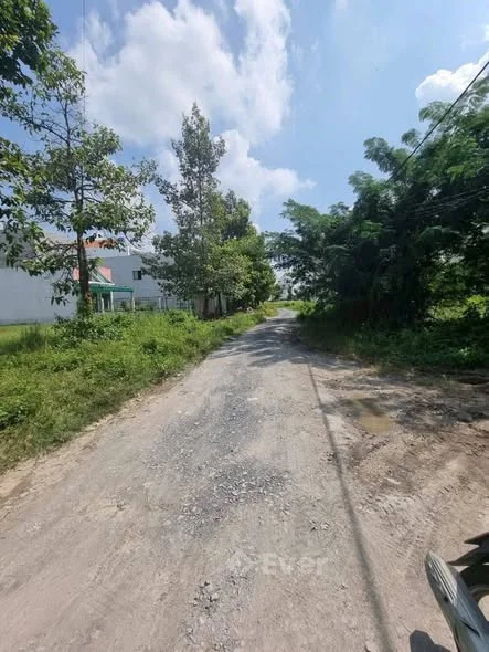 Ngợp giảm 300 tr cần ra gấp lô đất đường số 8!Cần bán lô đất đường số 8, Kdc 135 thị trấn Bến Lức