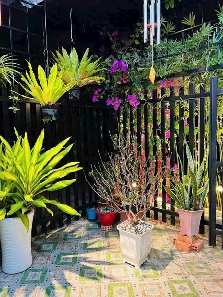 Ảnh bất động sản