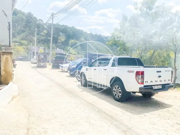 Nhà Đà Lạt View Rừng Thông - Đầu Tư Sinh Lời Cao