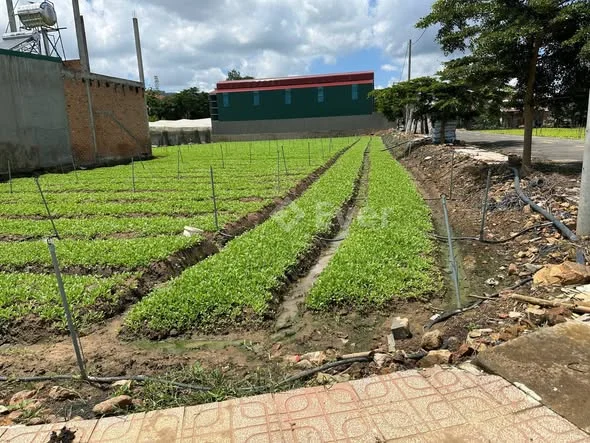 LÔ ĐẤT TIỀM NĂNG – VIEW SÔNG ĐA NHIM, PHÚ HỘI Khu vực đang phát triển mạnh về nghỉ dưỡng – gần trun