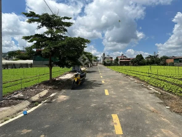 Ảnh bất động sản