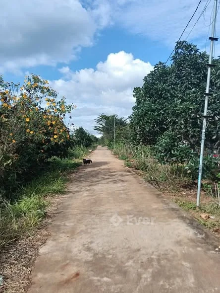 SIÊU PHẨM 4.843m² VIEW ĐẸP – CAO RÁO – GIÁ CHỈ 7.5 TỶ TẠI GIA LÂM, LÂM HÀ 300m² thổ cư