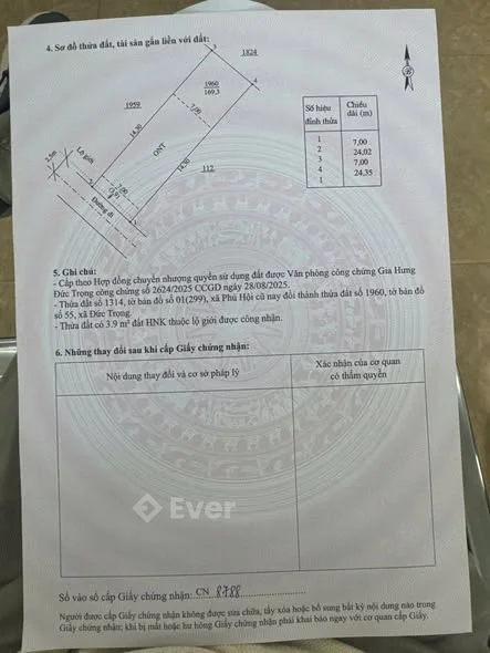 ĐẤT ĐỨC TRỌNG – VỊ TRÍ ĐẸP -- Kế bên khu công nghiệp Phú Hội Diện tích: 7×24m – 100m² thổ cư Cách