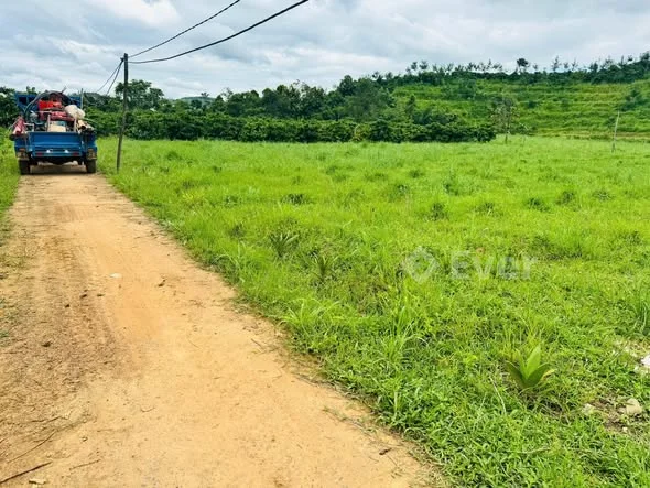 BÁN 6,5 SÀO CÀ PHÊ – VỊ TRÍ ĐẸP, GIÁ TỐT
