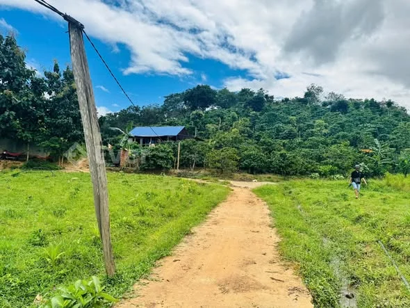 Ảnh bất động sản