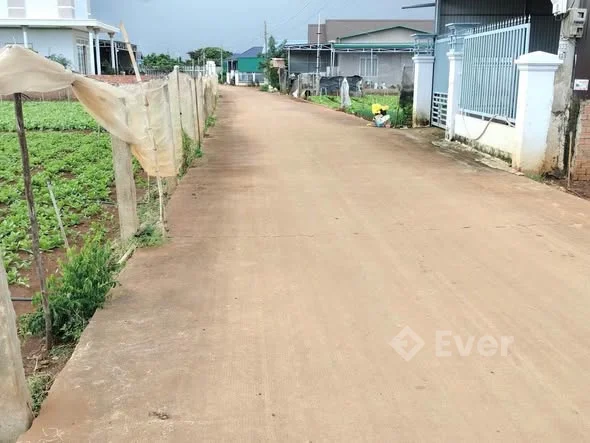 LÔ ĐẸP DUY NHẤT – GIÁ TỐT 1000m² (10x100m, có 130m² thổ cư)