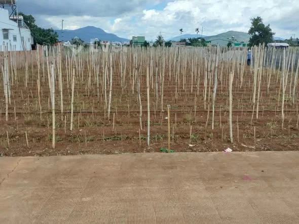 Ảnh bất động sản