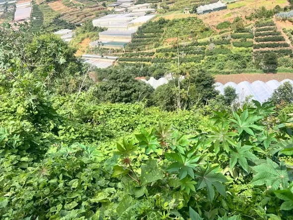 Ảnh bất động sản