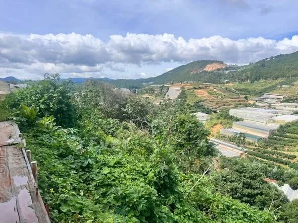 Ảnh bất động sản