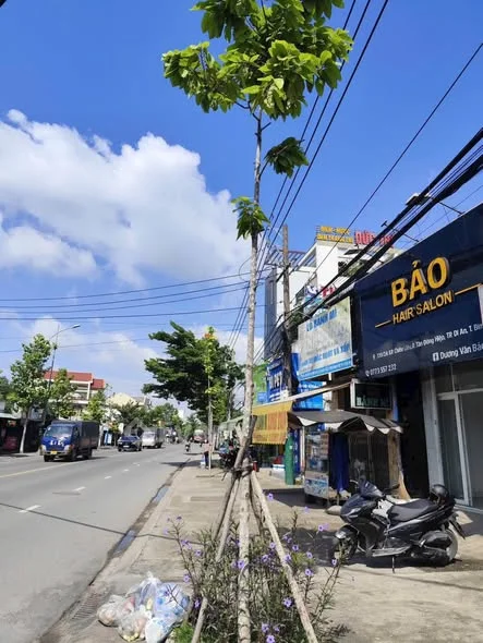 Ảnh bất động sản