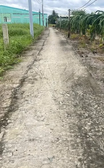 BÁN 5x42 m THỒ CƯ ĐƯỜNG ĐAN THÔNG THOÁNG THUỘC - PHÚ NGÃI TRỊ— CHÂU THÀNH — LONG AN