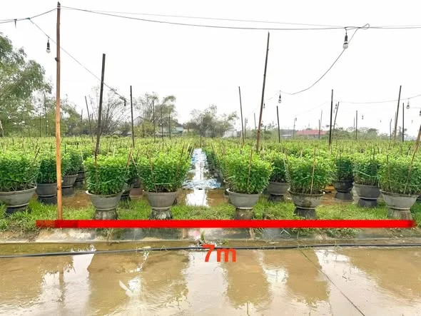 ĐẤT KQH VÂN THÊ - THUỶ THANH, TP HUẾ S: 140m2 ngang 7m