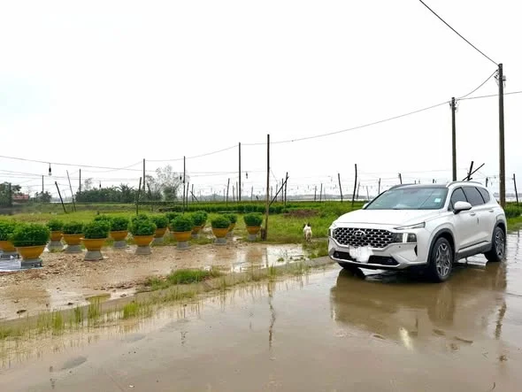 Ảnh bất động sản