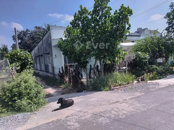 Bán lô đất cho nhỏ em , hoa hồng 2 % Ace nhận đủ khi khách cọc đất mặt đường nhựa