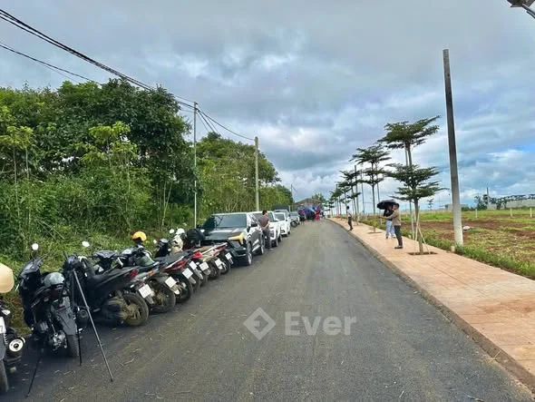 ĐẤT NỀN VIEW ĐẸP – SỔ RIÊNG – CHỈ 450 TRIỆU/NỀN – CƠ HỘI ĐẦU TƯ HIẾM! Lâm Hà, Lâm Đồng – khu vực đ