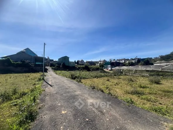 Bán đất măng lin,p7(phường langbian)Đà Lạt.-DT: 204mv (10.5 x 19.3) sổ riêng,xây dựng