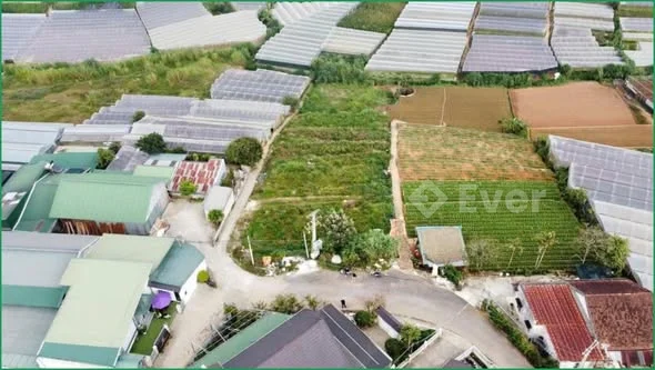 BÁN 1101M2 ĐẤT MẶT TIỀN ĐƯỜNG TRỊNH HOÀI ĐỨC P11 TP.ĐÀ LẠT