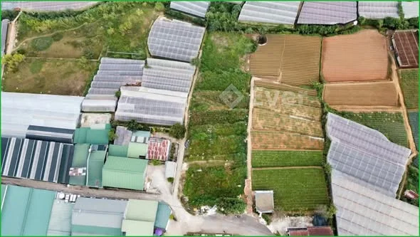 BÁN 1101M2 ĐẤT MẶT TIỀN ĐƯỜNG TRỊNH HOÀI ĐỨC P11 TP.ĐÀ LẠT