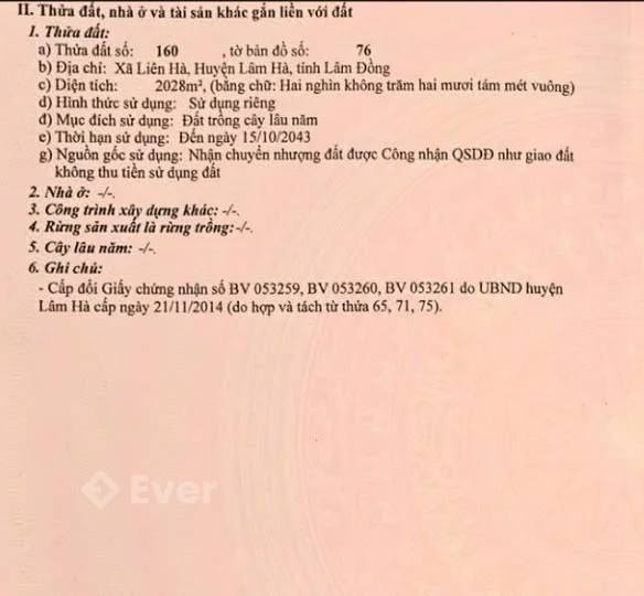 CẦN BÁN VƯỜN TẠI LIÊN HÀ (MỚI: TÂN HÀ, LÂM HÀ, LÂM ĐỒNG)