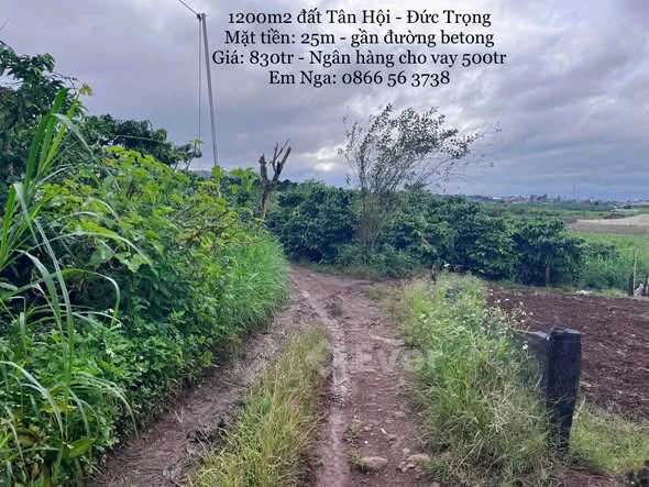 Ảnh bất động sản