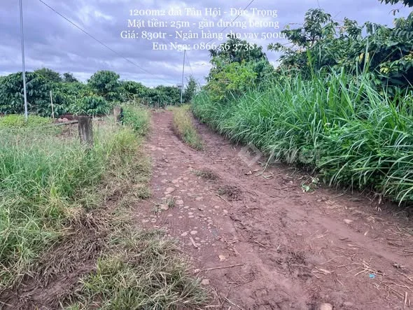 Ảnh bất động sản