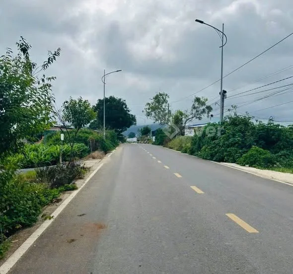 BÁN LÔ ĐẤT MẶT TIỀN NHỰA PHÚ TRUNG – ĐỨC TRỌNG 20×80m – 159m² thổ cư – TÁCH SẴN 2 SỔ (mỗi lô 10m) Mặ