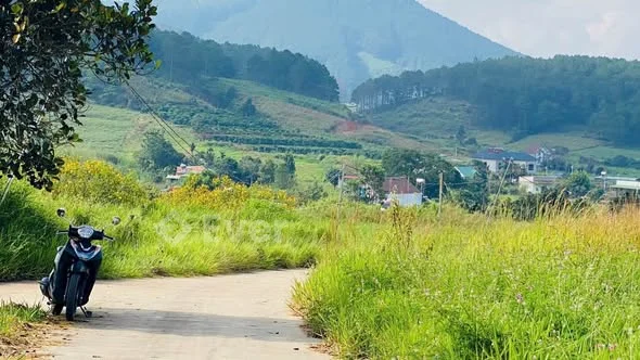 BÁN LÔ ĐẤT NGHỈ DƯỠNG CAO CẤP – GIA LÂM, TT. NAM BAN, LÂM HÀ, LÂM ĐỒNG Diện tích tổng: 2.800m² Th