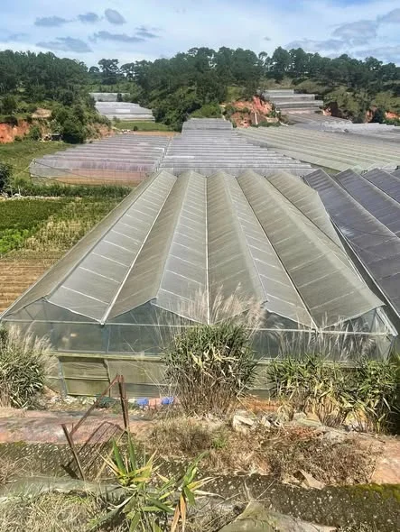 BÁN LÔ ĐẤT VƯỜN HẺM TRẦN VĂN CÔI – PHƯỜNG CAM LY (P5 Cũ), ĐÀ LẠT