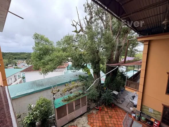 KHÁCH SẠN MẶT TIỀN TRUNG TÂM ĐÀ LẠT – PHAN BỘI CHÂU – PHƯỜNG 1