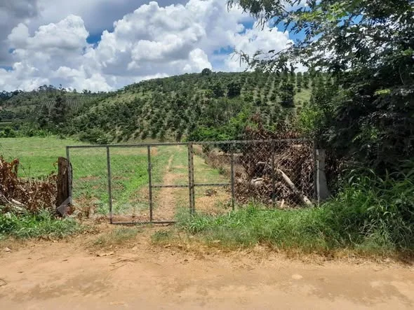 Nhanh tay lên mọi người ơi .￼ Do không có người chăm sóc ￼ cần bán gấp 5,2 hécta cà phê. Tại Tà Năn