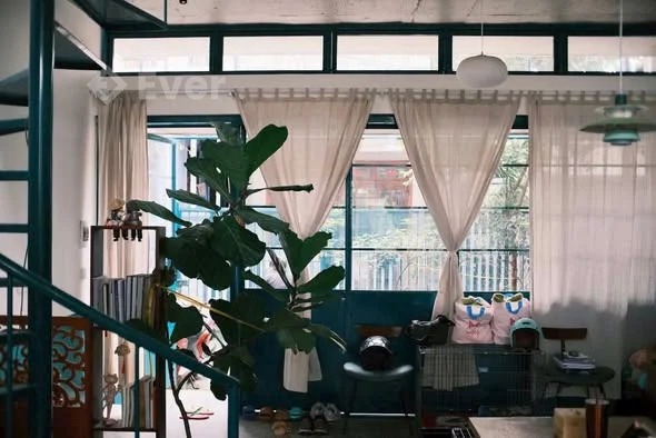 Ảnh bất động sản