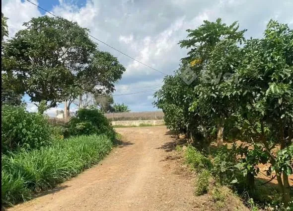 ĐẤT CHÍNH CHỦ TỔ 34 - LIÊN NGHĨA CŨ - XÃ ĐỨC TRỌNG