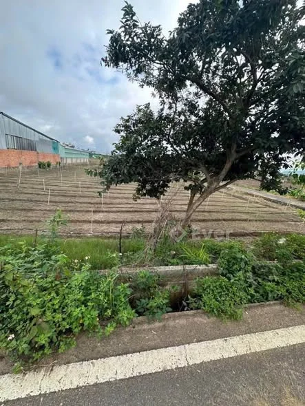 ĐẤT MẶT TIỀN NHỰA PHÚ TRUNG - XÃ ĐỨC TRỌNG - LÂM ĐỒNG Diện tích: 10m x 80m, tổng 811m2, 75m2 thổ cư