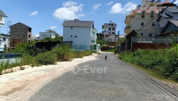 * Đất biệt thự đường Trần Đại Nghĩa, p8, Tp Đà Lạt.- DT: 213m2 (ODT: 200m2). MT: 10m