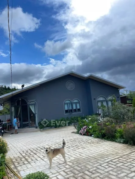 Bán nhà phường 3 ( An Bình)đà lạtDiện tích: 616m² vuông vắn