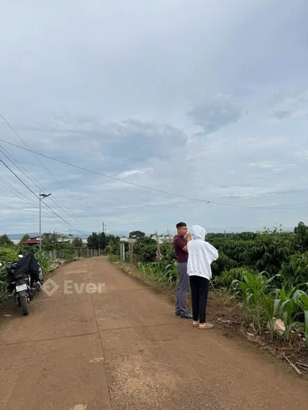 Bán đất Tân Hội – Đức Trọng Cách đường nhựa chỉ 400m, đường bê tông 5m thông