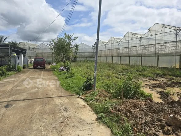 Ảnh bất động sản